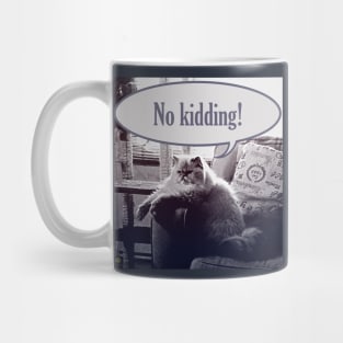 No kidding! Mug